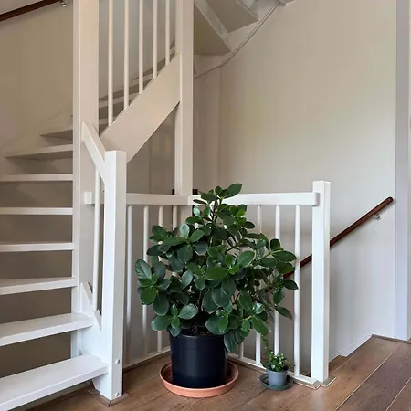 펜션 Spacious Family And Free Parking In *