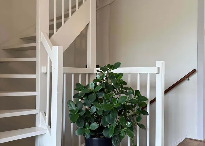 Holiday home Spacious Family And Free Parking In *